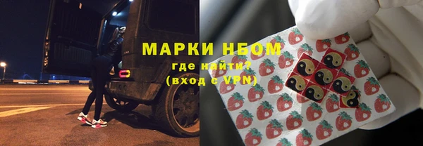 индика Аркадак