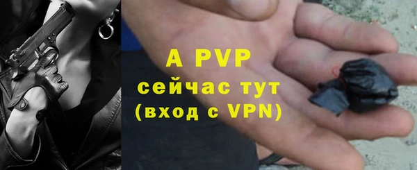 индика Аркадак