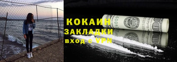 индика Аркадак